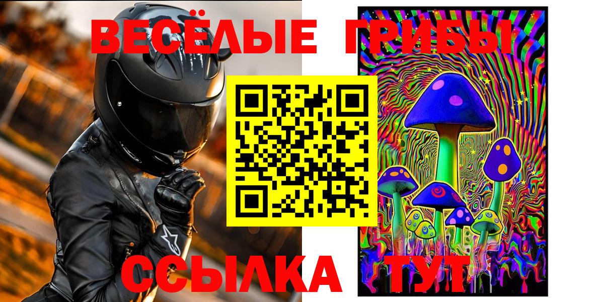 Псилоцибиновые грибы MAGIC MUSHROOMS  купить наркотики цена  Десногорск  Вход с VPN 